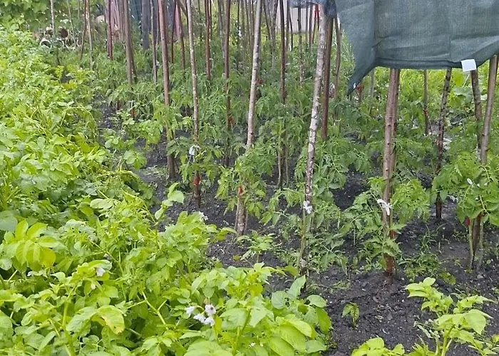 アパート Loewenzahn